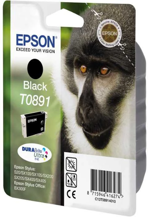 EPSON T0891 juodos spalvas rašalinė