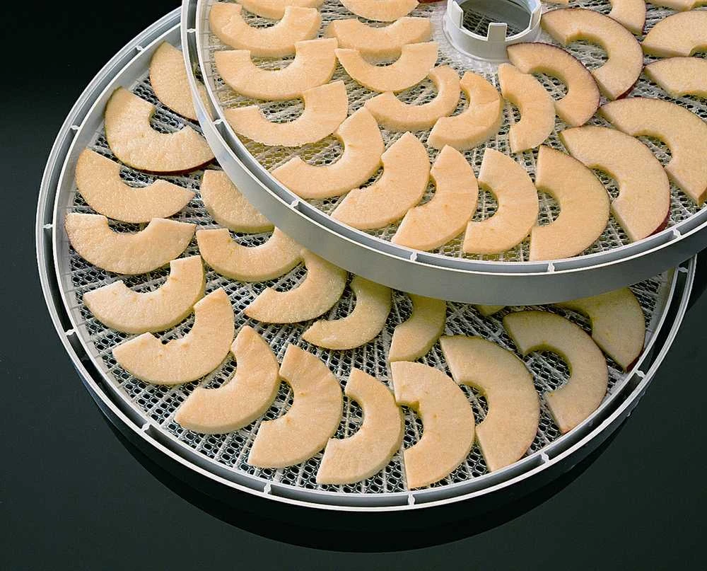 Maisto džiovintuvas Ezidri Snackmaker FD500