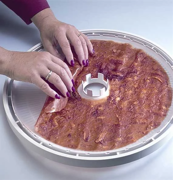 Maisto džiovintuvas Ezidri Snackmaker FD500