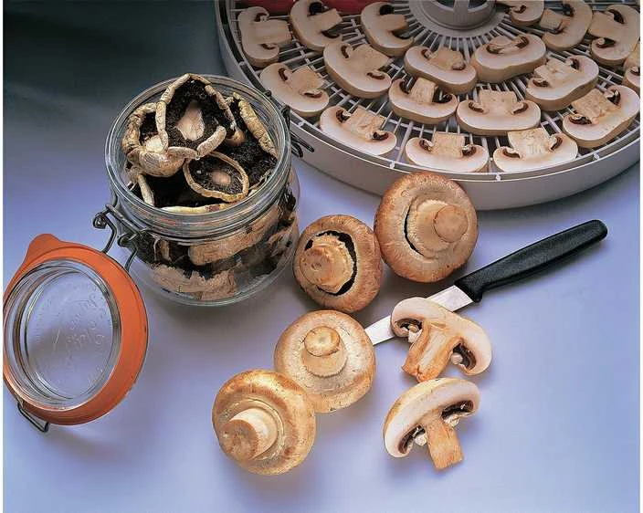 Maisto džiovintuvas Ezidri Snackmaker FD500