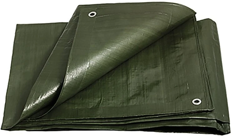 Festa PE Covering Tarp, 2x8 m, 200 g/m2, Žalias