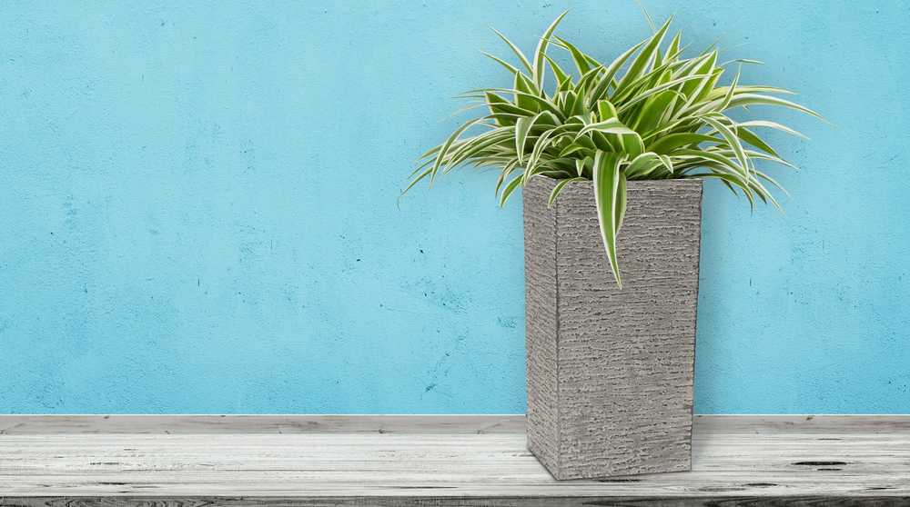Šakotuvas Flower pot G21 Natur Tube 40 x 82 x 40