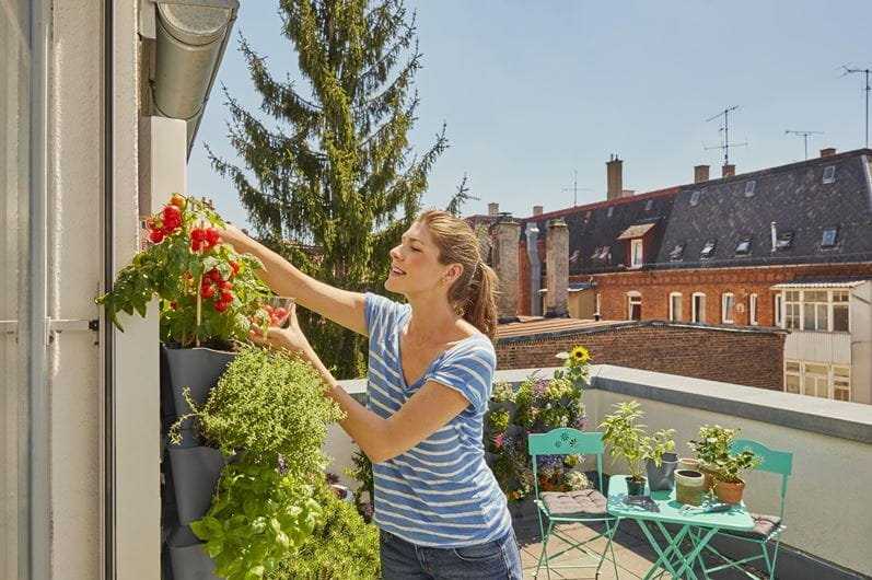 „GARDENA NatureUp“! Kampinis sieninis laikiklis