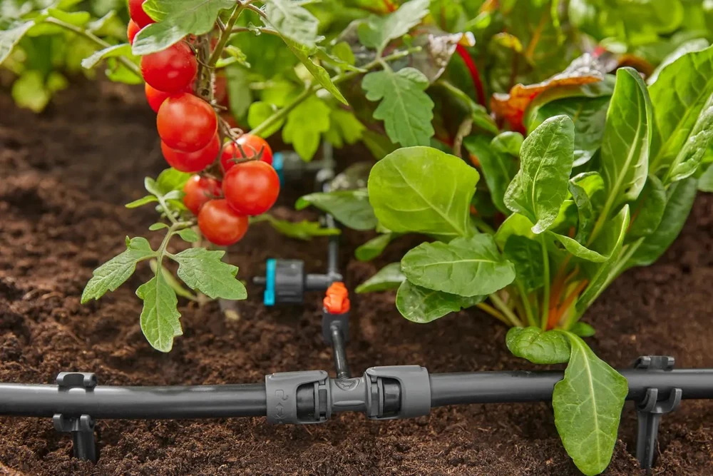 Gardena Micro-Drip sistema 13204-20 - 5 vnt.