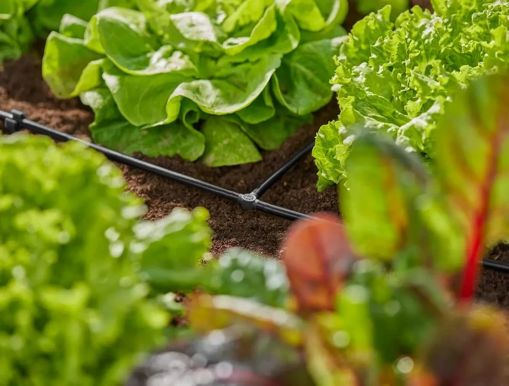 Gardena Micro-Drip sistema 13211-20 - 10 vnt.
