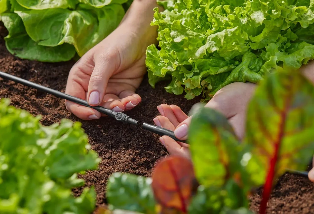 Jungtis Gardena Micro Drip System, 4,6 mm, 10 vnt.