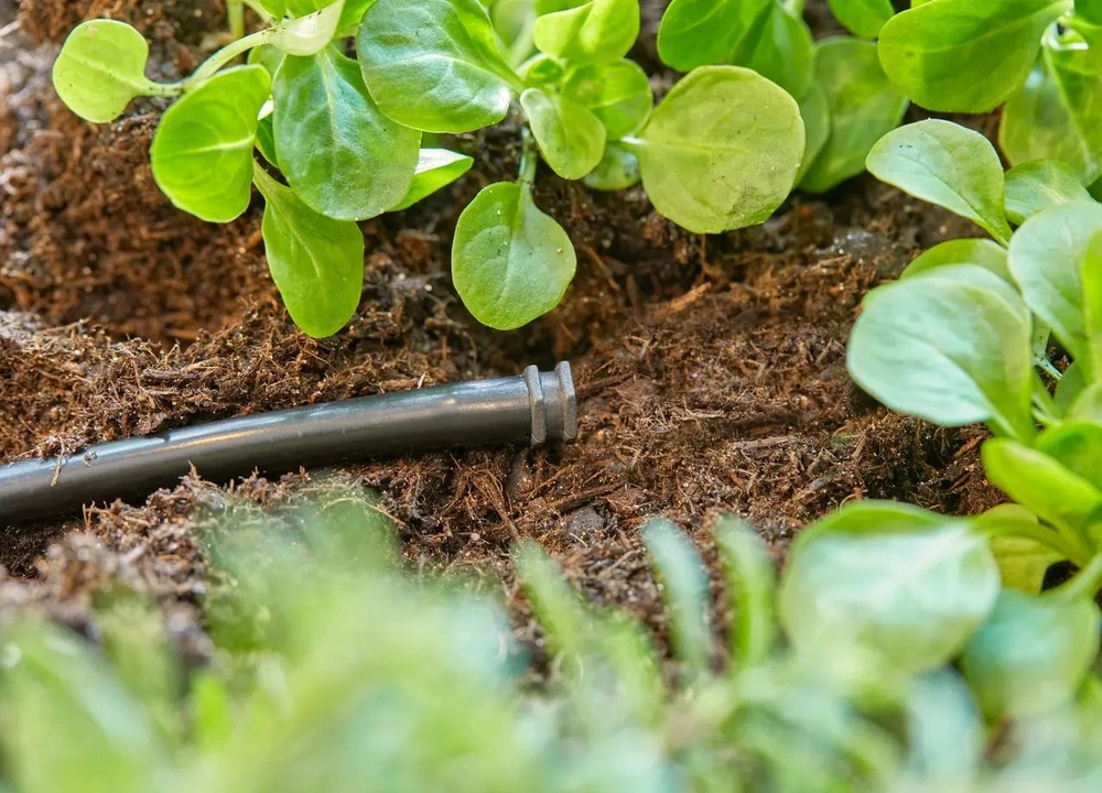 Gardena Kištukas 4,6 mm (3/16 colių)