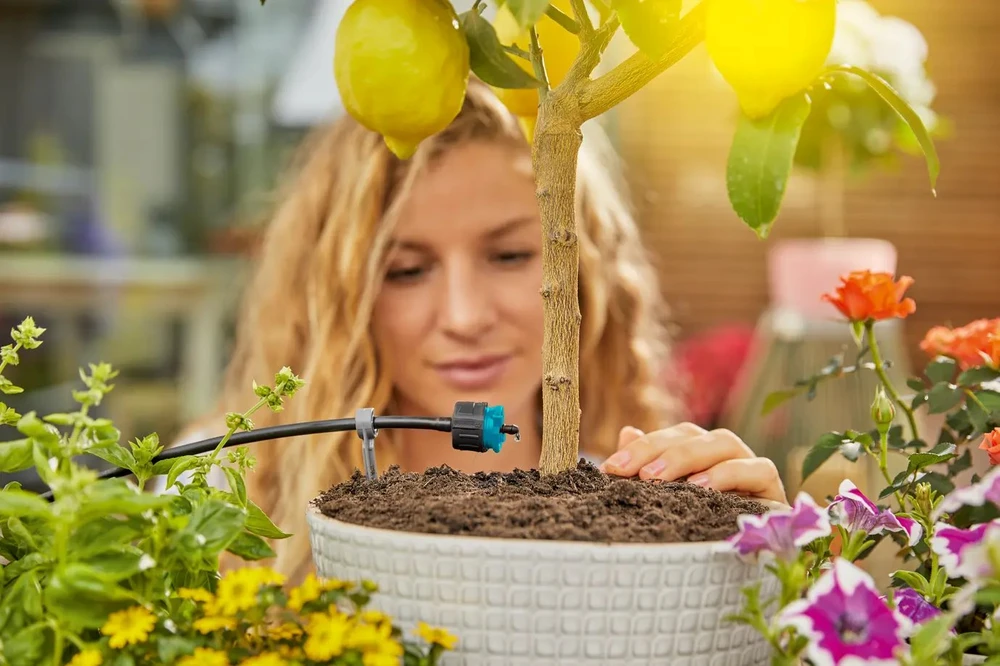 Laistymo įranga Gardena Micro Drip System 970619101, juoda