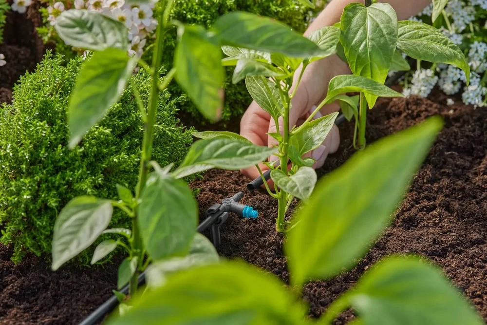 Gardena 13317-20 mikrolašelinė laistymo sistema 2 l/h 10 vnt.