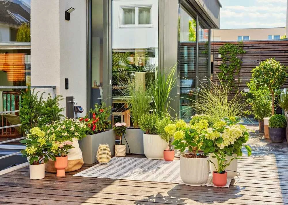 Gardena Mikrolašelinio drėkinimo terasos rinkinys (30 augalų)