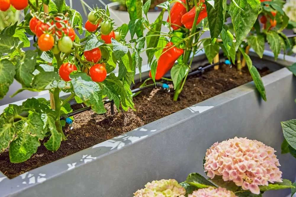 Gardena Mikrolašelinio drėkinimo terasos rinkinys (30 augalų)
