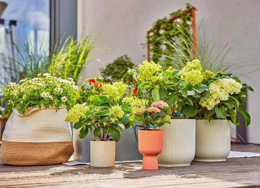 Gardena Mikrolašelinio drėkinimo terasos rinkinys (30 augalų)
