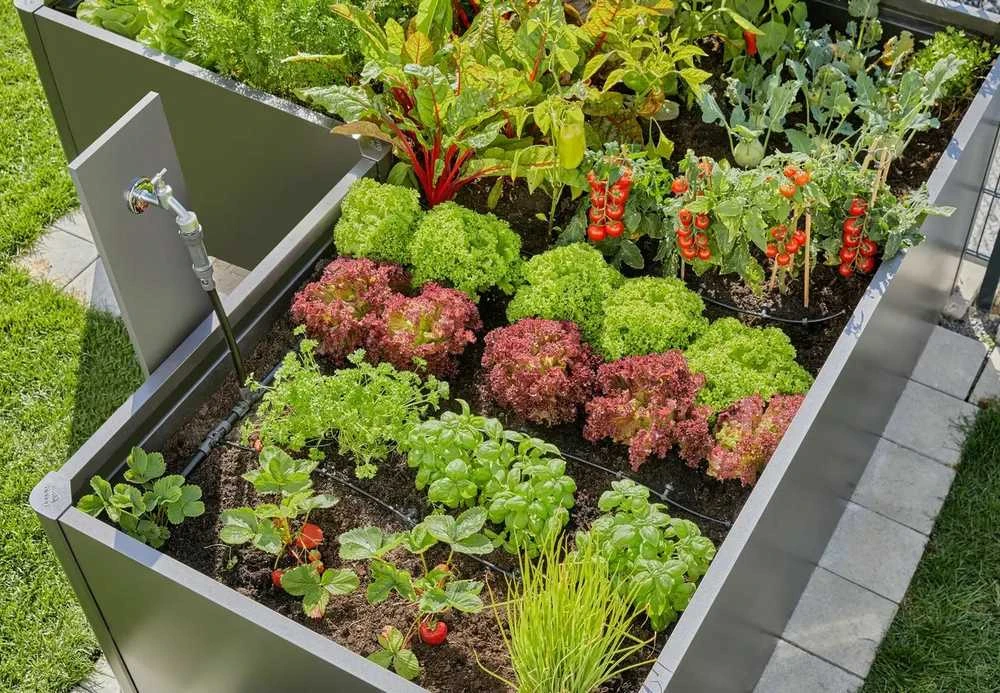 Gardena Pradinis rinkinys lysvėms/pakeltoms lysvėms (35 augalams)
