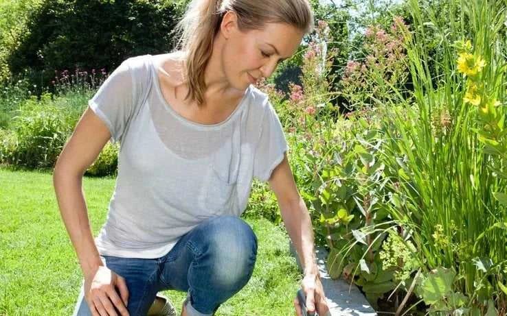Žirklės žolės AccutCut LI GARDENA, 9706607-01