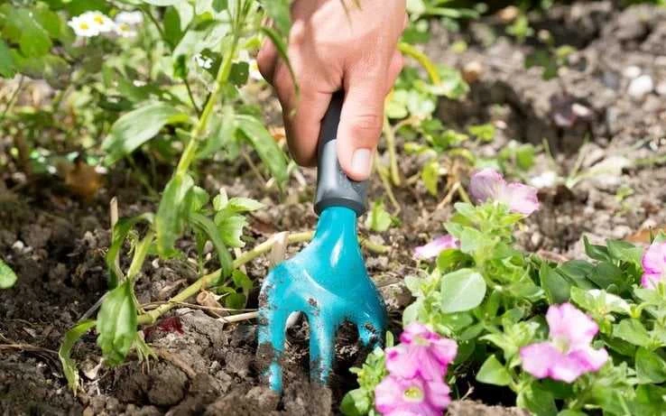 Gardena GARDENA klasikinė gėlių šakutė (turkio spalvos, 7,5 cm)