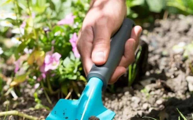 Gardena GARDENA klasikinė gėlių šakutė (turkio spalvos, 7,5 cm)
