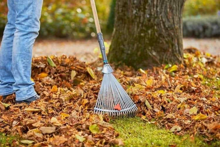 GARDENA PureLine Adjustable Rake