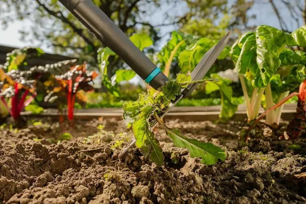 Gardena FSC 100% kauptukas