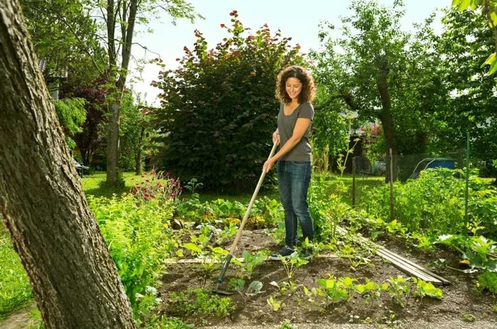 GARDENA PureLine Hoe