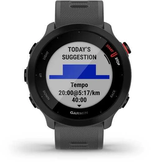 Išmanusis laikrodis Garmin Forerunner 55, Pilkos spalvos