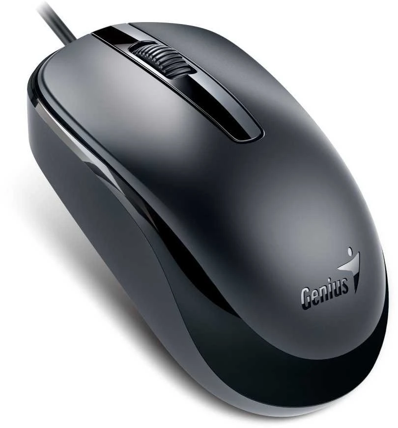 KYE 31010105106 Genius optinė pelė su laidu DX-120, USB Juodas