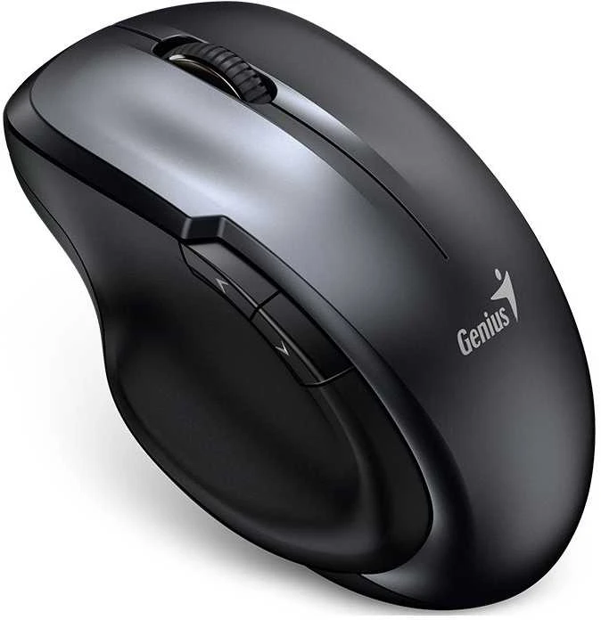 Pelė Genius Ergo 8200S grafito (31030029401)