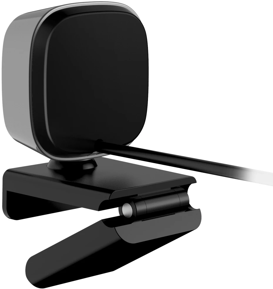 Genius FaceCam 2010 kamera web Full HD, pilka