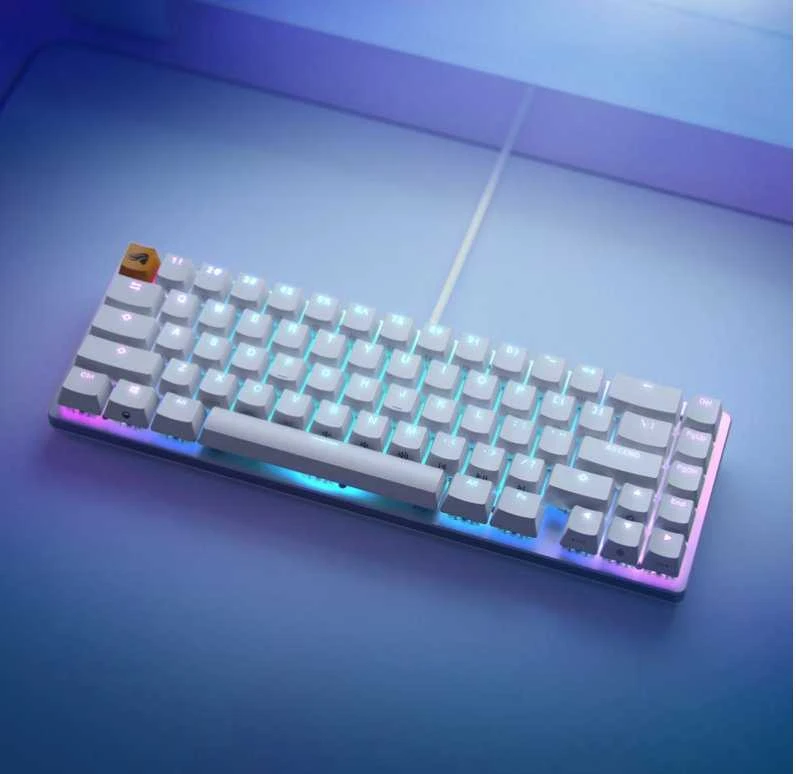 Klaviatūra Glorious PC Gaming Race GMMK 2 TKL 65% klaviatūros korpusas ANSI išdėstymas