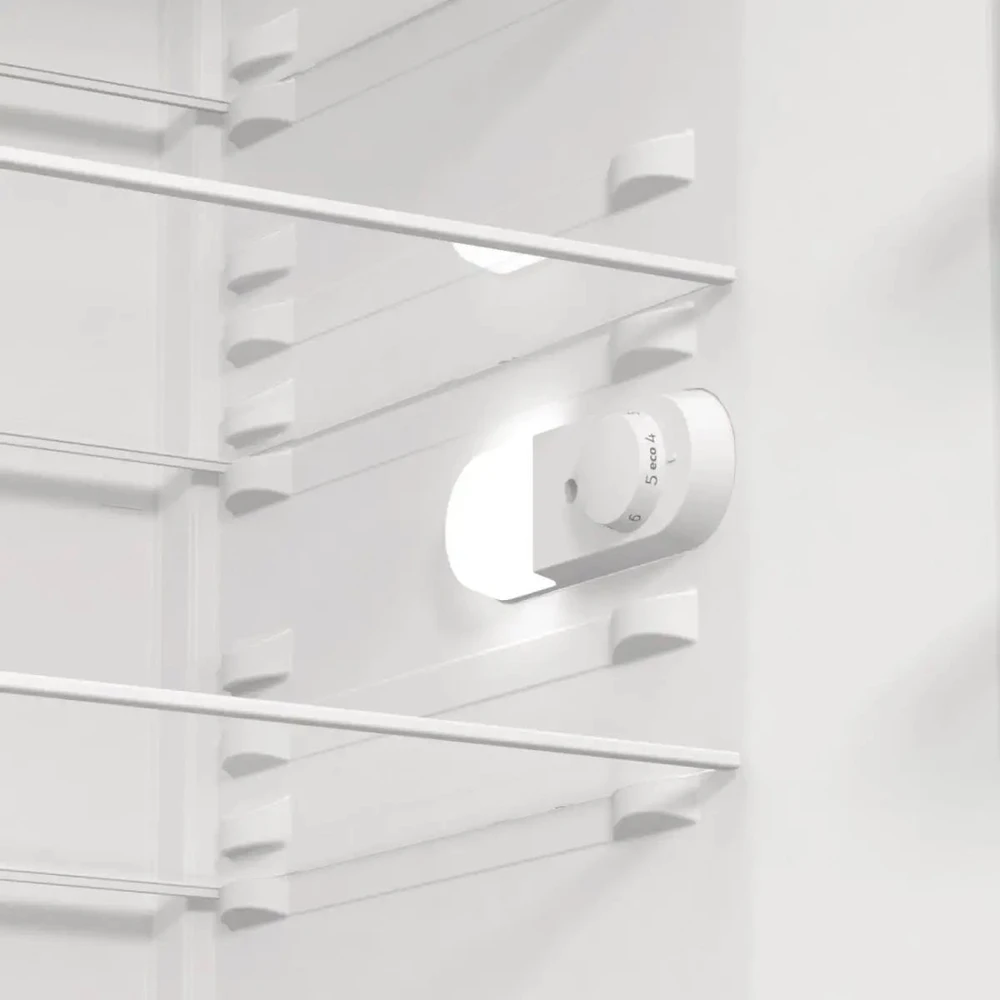 Šaldytuvas GORENJE R619EES5