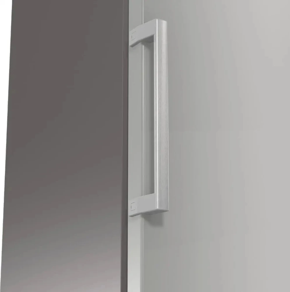 Šaldytuvas GORENJE R619EES5