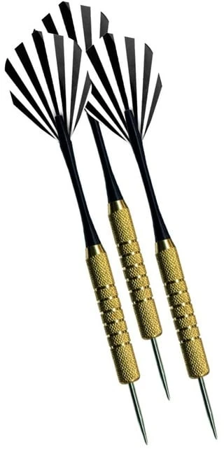Harrows taikinys Lets Play Darts su strėlytėmis
