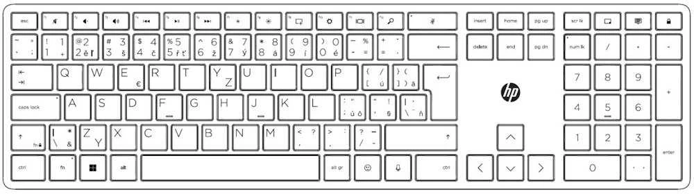 Hewlett Packard (HP) HP 125 G2 laidinė USB klaviatūra - CZ/SK