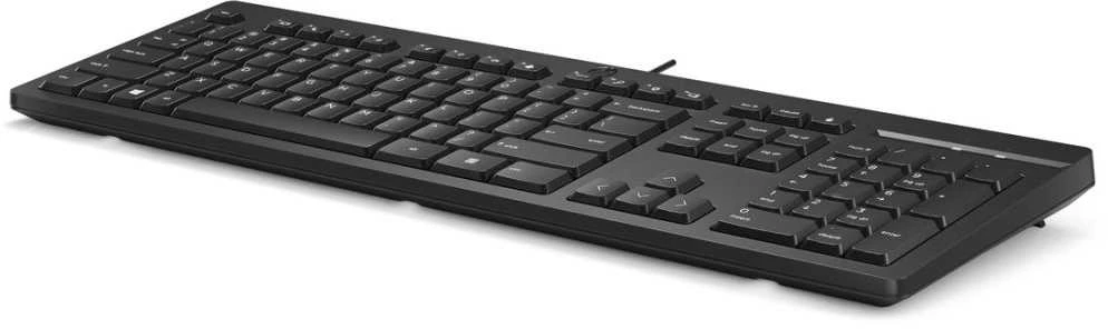 Hewlett Packard (HP) HP 125 G2 laidinė USB klaviatūra - CZ/SK