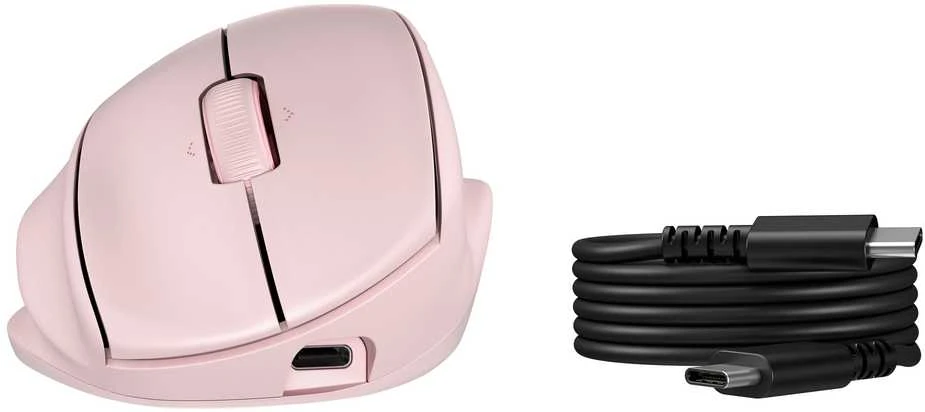 Hewlett Packard (HP) HP Tilt Ergo PNK MSE 720M EMEA-INTL EN L pelė dešinei rankai RF belaidė + Bluetooth 6000 DPI