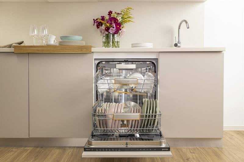 Indaplovė Gorenje GV663A65