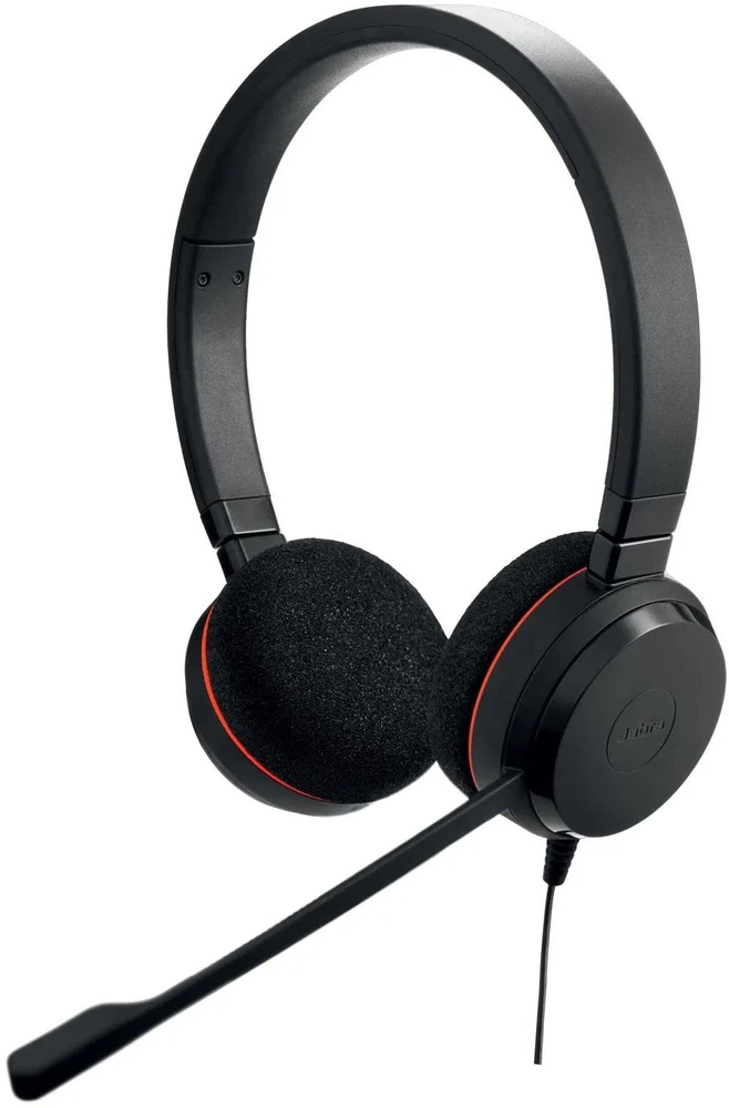 JABRA Evolve 20 USB C/A MS Stereo ausinės