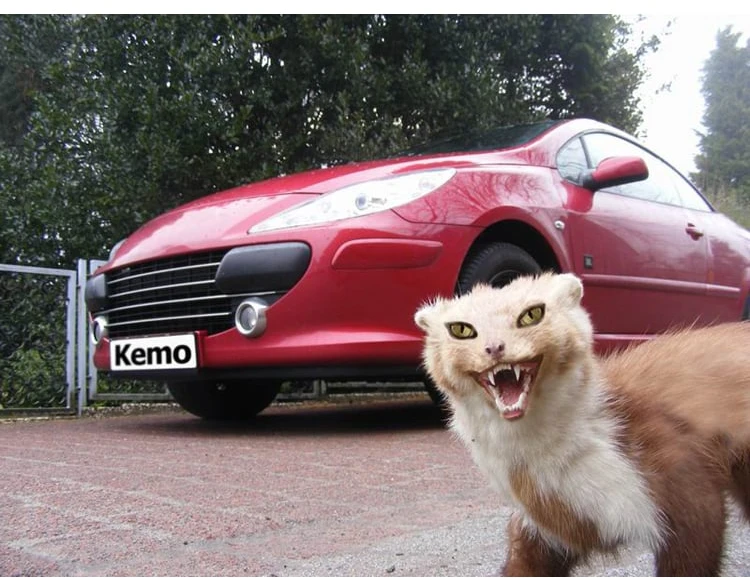 KEMO M100N odpuzovač kun