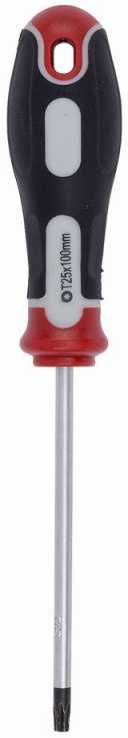 Kreator Atsuktuvas TORX T25 KRT404108, 100mm, magnetinė galvutė, minkštas rankenos dizainas