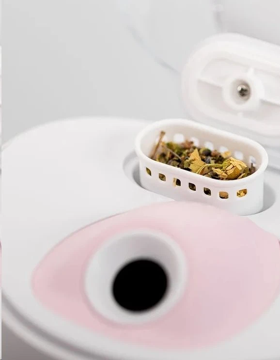 Veido garintuvas Lanaform Luxury Facial Steamer