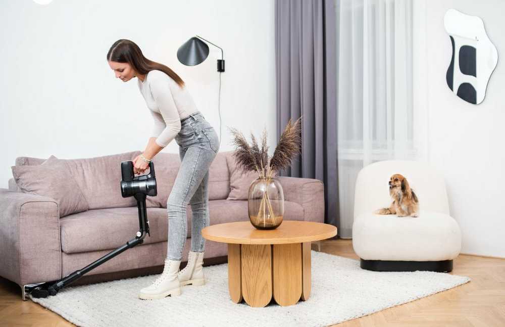Dulkių siurblys Lauben Lauben Stick Vacuum 2in1 Pet Plus 400BC