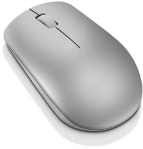 Lenovo | Belaidė pelė | 530 | Optinė pelė | 2.4 GHz Wireless via Nano USB | Platinos pilkas | 1 year(s)
