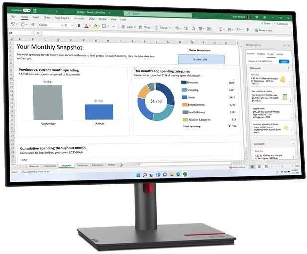 Monitorius Lenovo ThinkVision P24q-30 (63B4GAT6EU)