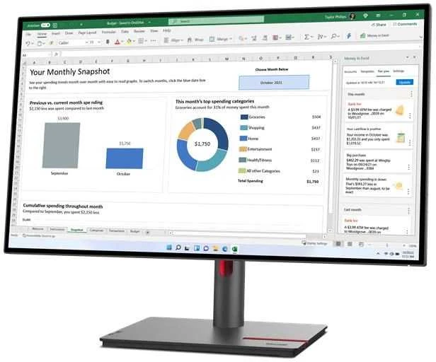 Monitorius Lenovo ThinkVision P24q-30 (63B4GAT6EU)