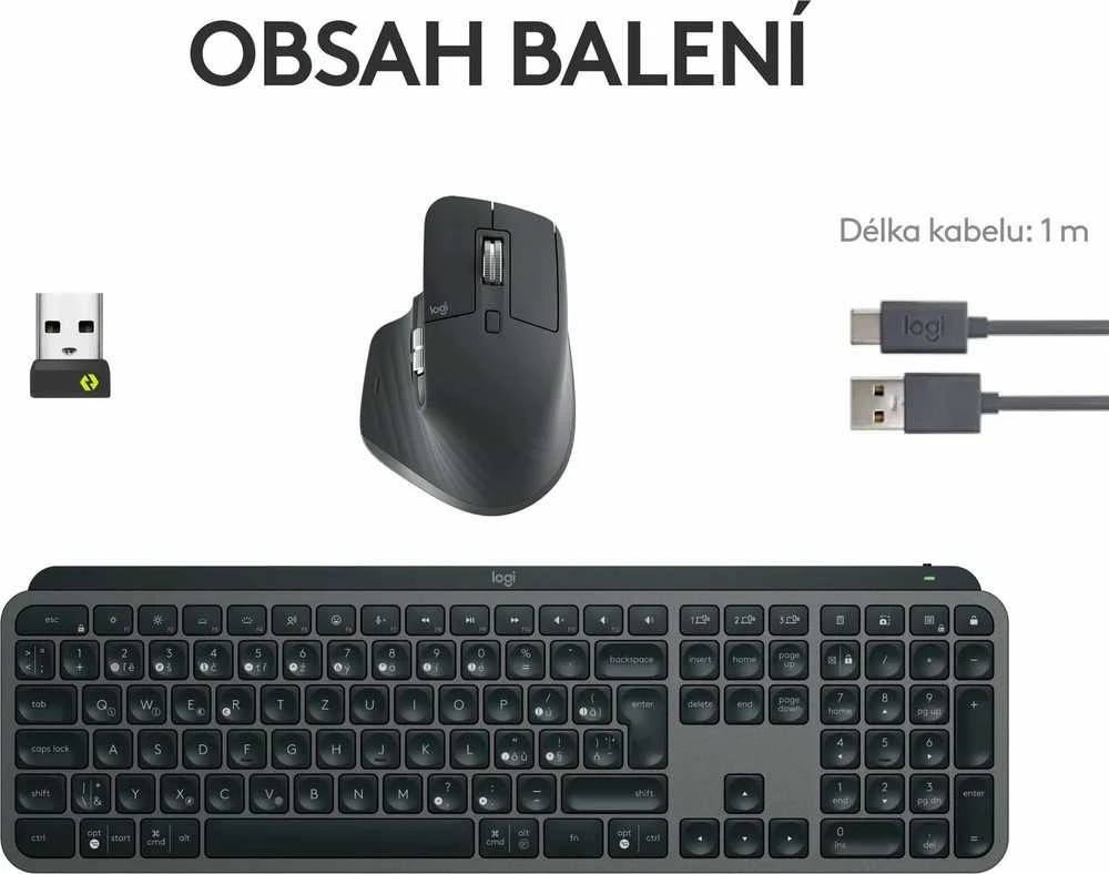 Belaidė klaviatūra ir pelė + Atrama riešui Logitech MX Keys S Combo, Graphite