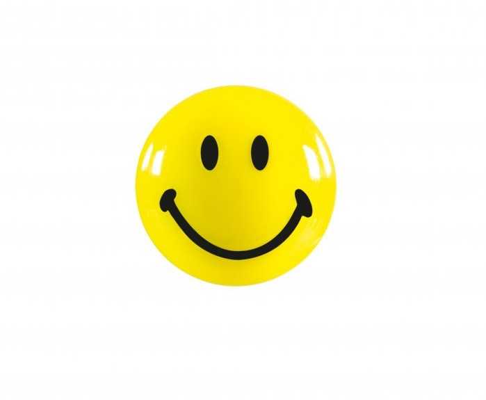 Magnetoplan Magnets Smile 20 mm (8pcs)