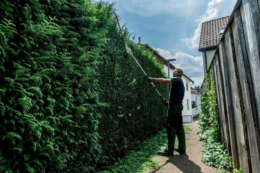 Gyvatvorių žirklės MA-HS 50 įvairiems įrankiams MA 36-18 LTX BL Q, Metabo