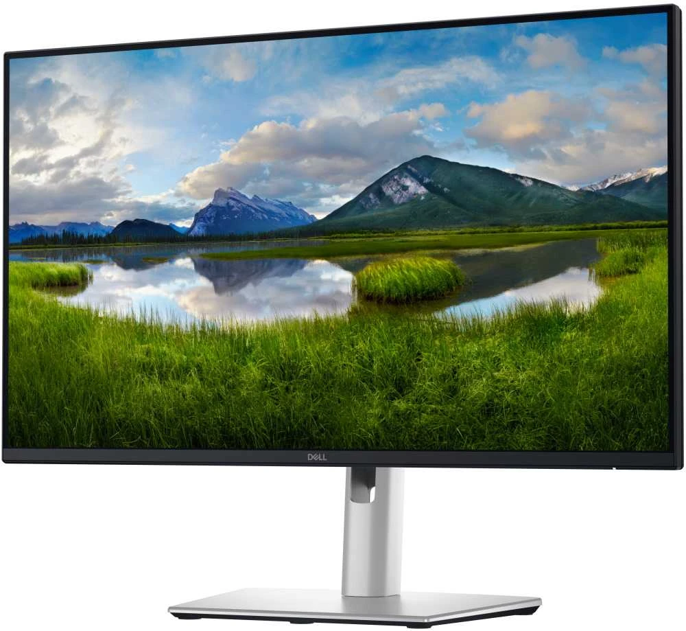 Dell Pro 24 Plus QHD USB-C Hub Monitorius - P2425DE, 60.5cm (23.8")