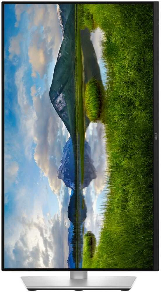 Dell Pro 24 Plus QHD USB-C Hub Monitorius - P2425DE, 60.5cm (23.8")