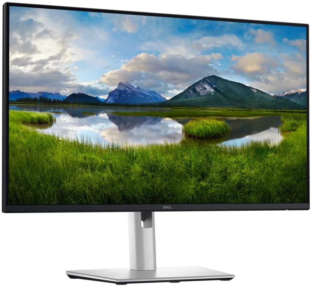 Dell Pro 24 Plus QHD USB-C Hub Monitorius - P2425DE, 60.5cm (23.8")