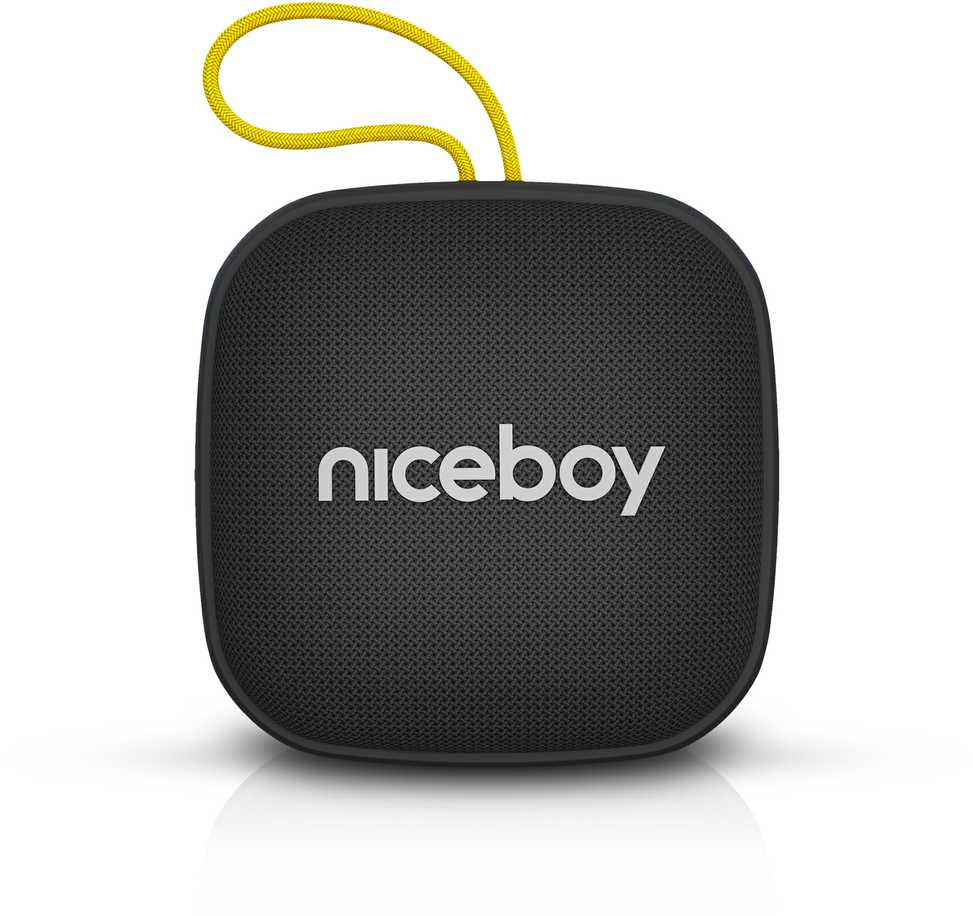 Niceboy RAZE Mini 4